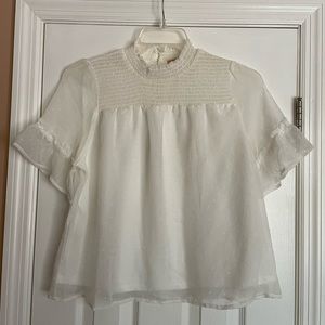 Evolutionary White Top